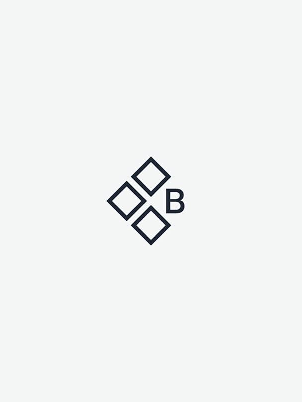 Bregal logo